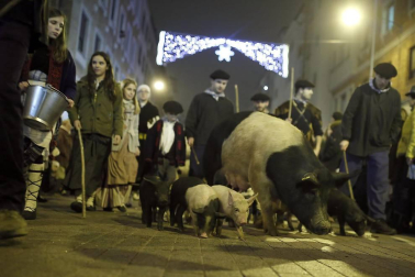 Miles de personas acompañaros al carbonero en su visita a la capital navarra.