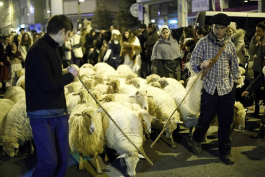 Miles de personas acompañaros al carbonero en su visita a la capital navarra.