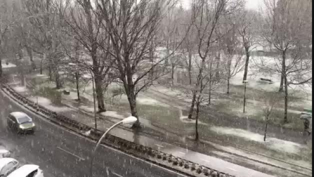 Nieve en la Vuelta del Castillo de Pamplona