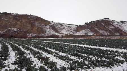 Imágenes enviadas por los lectores de Diario de Navarra de las luvias y las nieves del 6 de enero de 2018.