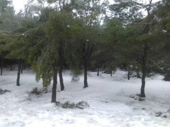 Imágenes enviadas por los lectores de Diario de Navarra de las luvias y las nieves del 6 de enero de 2018.