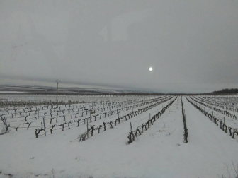 Imágenes enviadas por los lectores de Diario de Navarra de las luvias y las nieves del 6 de enero de 2018.