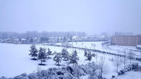 Imágenes enviadas por los lectores de Diario de Navarra de las luvias y las nieves del 6 de enero de 2018.