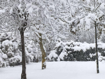 Imágenes enviadas por los lectores de Diario de Navarra de las luvias y las nieves del 6 de enero de 2018.