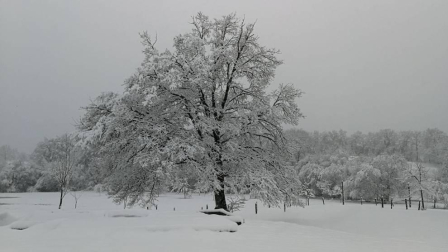 Imágenes enviadas por los lectores de Diario de Navarra de las luvias y las nieves del 6 de enero de 2018.
