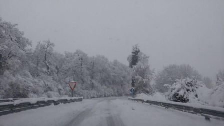 Imágenes enviadas por los lectores de Diario de Navarra de las luvias y las nieves del 6 de enero de 2018.