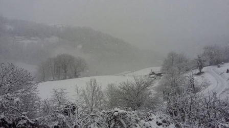 Imágenes enviadas por los lectores de Diario de Navarra de las luvias y las nieves del 6 de enero de 2018.