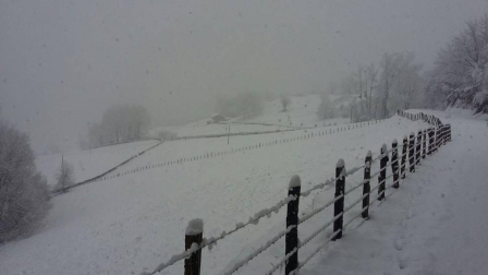 Imágenes enviadas por los lectores de Diario de Navarra de las luvias y las nieves del 6 de enero de 2018.
