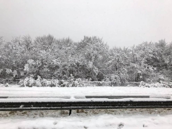 Imágenes enviadas por los lectores de Diario de Navarra de las luvias y las nieves del 6 de enero de 2018.
