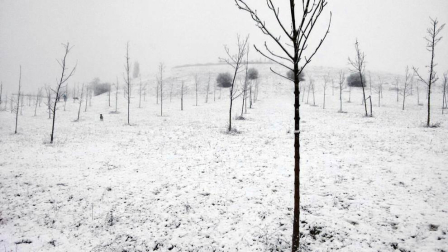 Imágenes enviadas por los lectores de Diario de Navarra de las luvias y las nieves del 6 de enero de 2018.