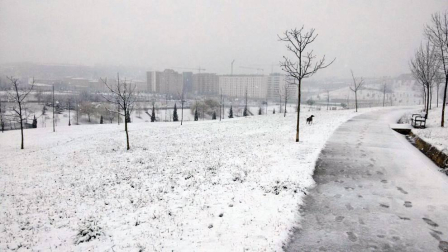 Imágenes enviadas por los lectores de Diario de Navarra de las luvias y las nieves del 6 de enero de 2018.