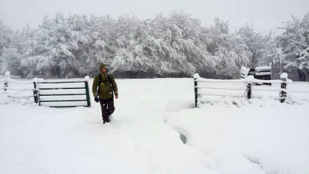 Imágenes enviadas por los lectores de Diario de Navarra de las luvias y las nieves del 6 de enero de 2018.
