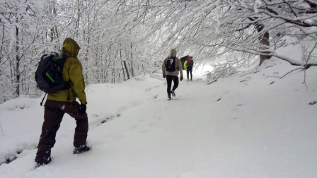 Imágenes enviadas por los lectores de Diario de Navarra de las luvias y las nieves del 6 de enero de 2018.