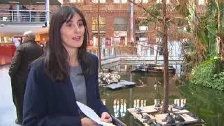 Las tortugas de la Estación de Atocha dicen adiós tras más de 20 años