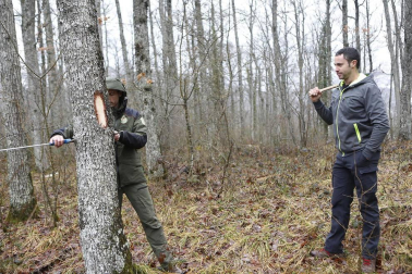 El guarderío forestal vela por el cuidado del monte bajo la máxima y la demanda de respeto. Las amenazas son "residuales".