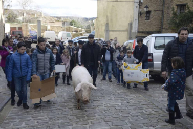 La cuta más grande parael bicentenario: Artajona celebró este domingo la 200 Rifa del Cuto en honor a San Antón con un animal de 270 kilos.