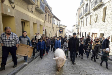 La cuta más grande parael bicentenario: Artajona celebró este domingo la 200 Rifa del Cuto en honor a San Antón con un animal de 270 kilos.