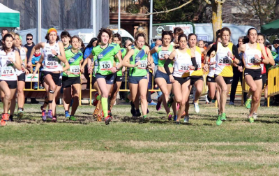 Imágenes del Campeonato Navarro de Cross Corto 2018 en Estella