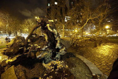 Dos personas resultaron heridas este lunes por la tarde en Pamplona al caerles encima un árbol en la Vuelta del Castillo de Pamplona, el situado en la confluencia de la Avenida del Ejército y Pío XII.