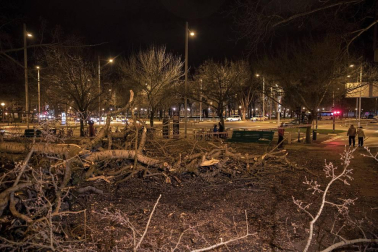Dos personas resultaron heridas este lunes por la tarde en Pamplona al caerles encima un árbol en la Vuelta del Castillo de Pamplona, el situado en la confluencia de la Avenida del Ejército y Pío XII.