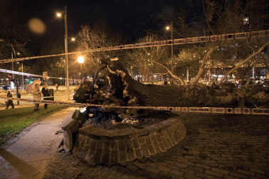 Dos personas resultaron heridas este lunes por la tarde en Pamplona al caerles encima un árbol en la Vuelta del Castillo de Pamplona, el situado en la confluencia de la Avenida del Ejército y Pío XII.