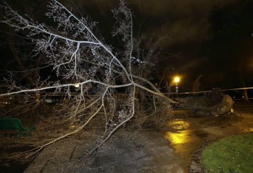Dos personas resultaron heridas este lunes por la tarde en Pamplona al caerles encima un árbol en la Vuelta del Castillo de Pamplona, el situado en la confluencia de la Avenida del Ejército y Pío XII.