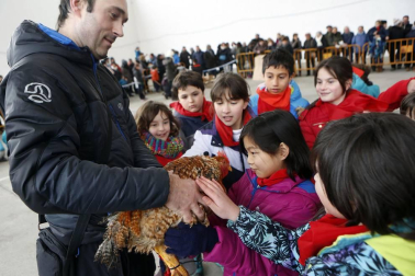 Medio millar de menores persiguieron, espada de madera en mano, el rastro del Juego del Gallo en el 'Orakunde' de Elizondo. El sector infantil celebró en diferentes localidades del valle la tradición del 'Jueves Gordo' con juegos adaptados a su edad