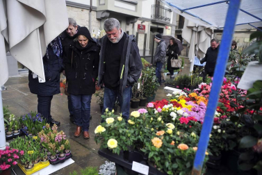 Tafalla celebra sus populares ferias de febrero