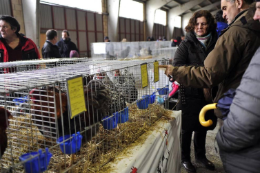Tafalla celebra sus populares ferias de febrero