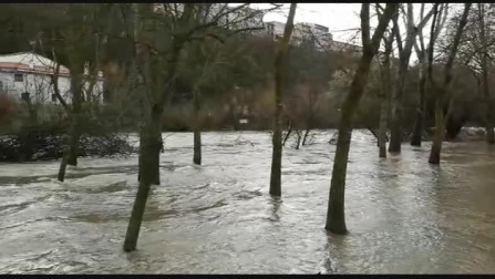 El río Arga, desbordado en la Rochapea