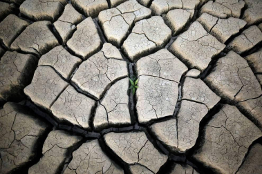 Las fotografías más llamativas de las últimas horas