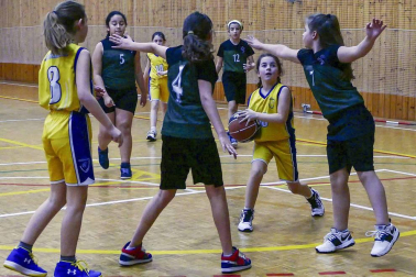 Imágenes de chicos y chicas que juegan a este deporte en equipos de la Comunidad foral.