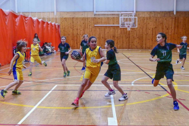 Imágenes de chicos y chicas que juegan a este deporte en equipos de la Comunidad foral.