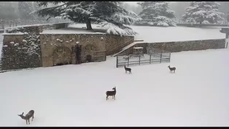 Nieve en la Taconera (III)