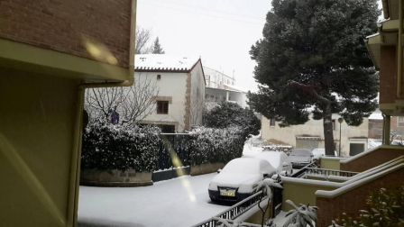 Estampas de todos los rincones de Navarra bajo el manto blanco caído el último día de febrero.