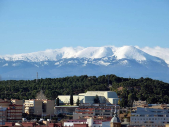 Estampas de todos los rincones de Navarra bajo el manto blanco caído el último día de febrero.