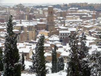 Estampas de todos los rincones de Navarra bajo el manto blanco caído el último día de febrero.
