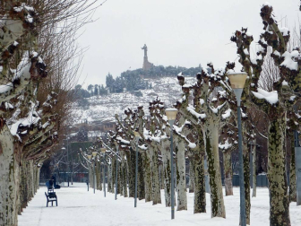 Estampas de todos los rincones de Navarra bajo el manto blanco caído el último día de febrero.