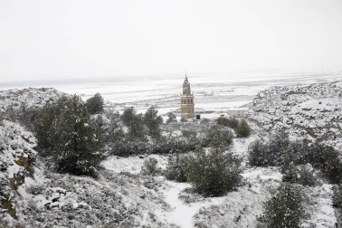 Estampas de todos los rincones de Navarra bajo el manto blanco caído el último día de febrero.