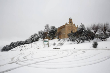 Estampas de todos los rincones de Navarra bajo el manto blanco caído el último día de febrero.
