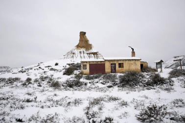 Estampas de todos los rincones de Navarra bajo el manto blanco caído el último día de febrero.