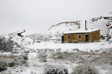 Estampas de todos los rincones de Navarra bajo el manto blanco caído el último día de febrero.