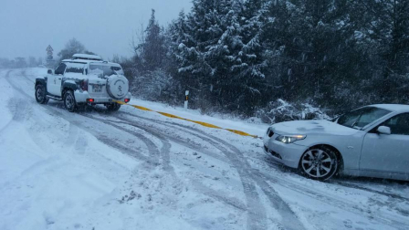 Estampas de todos los rincones de Navarra bajo el manto blanco caído el último día de febrero.