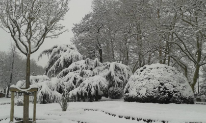 Estampas de todos los rincones de Navarra bajo el manto blanco caído el último día de febrero.