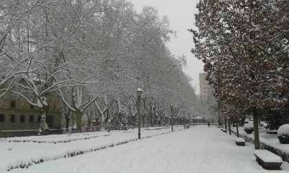 Estampas de todos los rincones de Navarra bajo el manto blanco caído el último día de febrero.