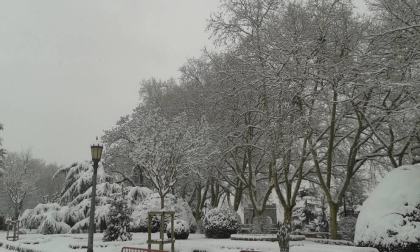 Estampas de todos los rincones de Navarra bajo el manto blanco caído el último día de febrero.