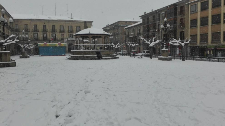 Estampas de todos los rincones de Navarra bajo el manto blanco caído el último día de febrero.