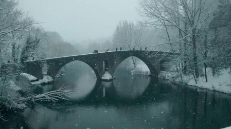 Estampas de todos los rincones de Navarra bajo el manto blanco caído el último día de febrero.