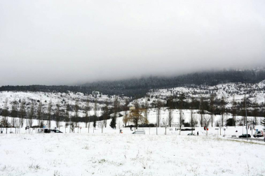 Estampas de todos los rincones de Navarra bajo el manto blanco caído el último día de febrero.
