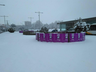 Estampas de todos los rincones de Navarra bajo el manto blanco caído el último día de febrero.